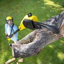Best Commercial Tree Services  in Leisure World, MD